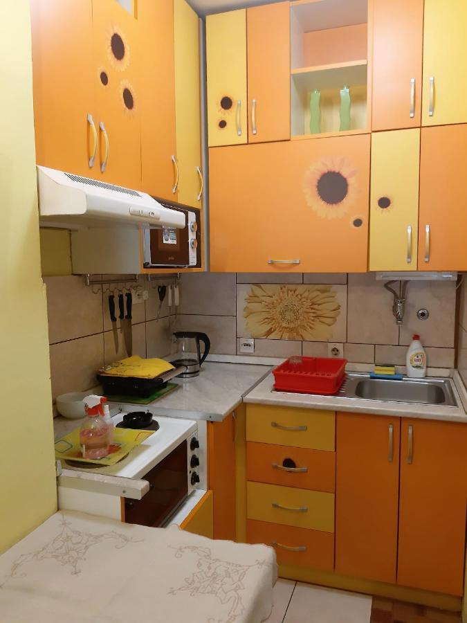 Apartment Adela Požarevac Extérieur photo